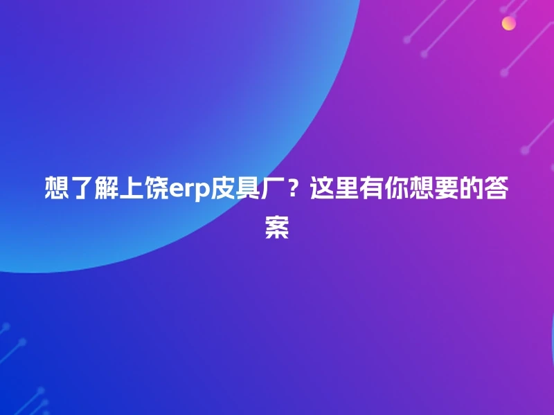 想了解上饶erp皮具厂？这里有你想要的答案