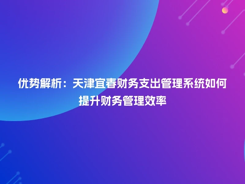 优势解析：天津宜春财务支出管理系统如何提升财务管理效率