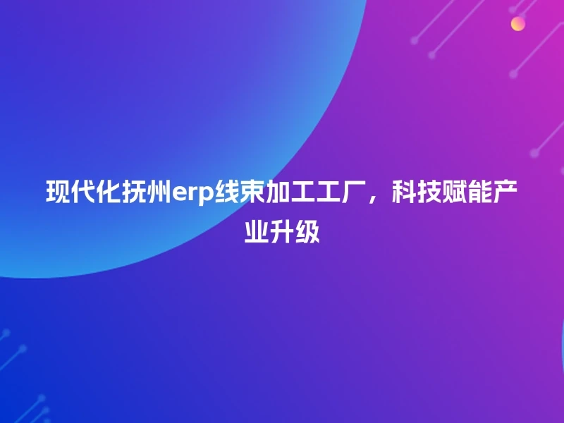 现代化抚州erp线束加工工厂，科技赋能产业升级