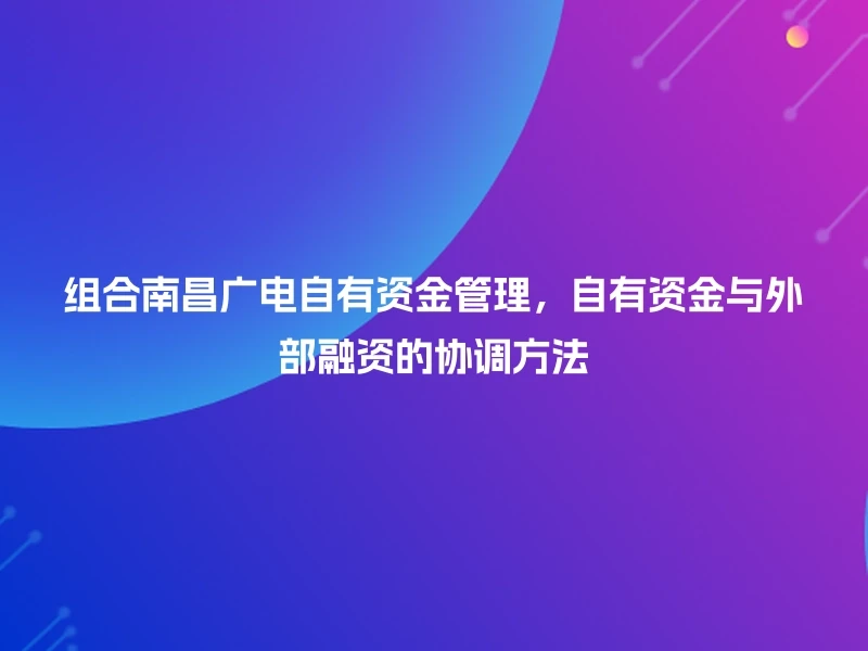 组合南昌广电自有资金管理，自有资金与外部融资的协调方法