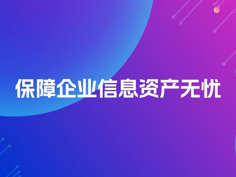 保障企业信息资产无忧