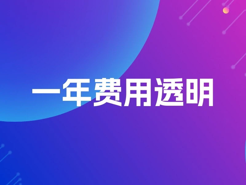 一年费用透明