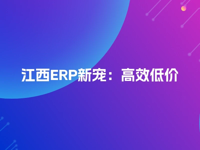江西ERP新宠：高效低价