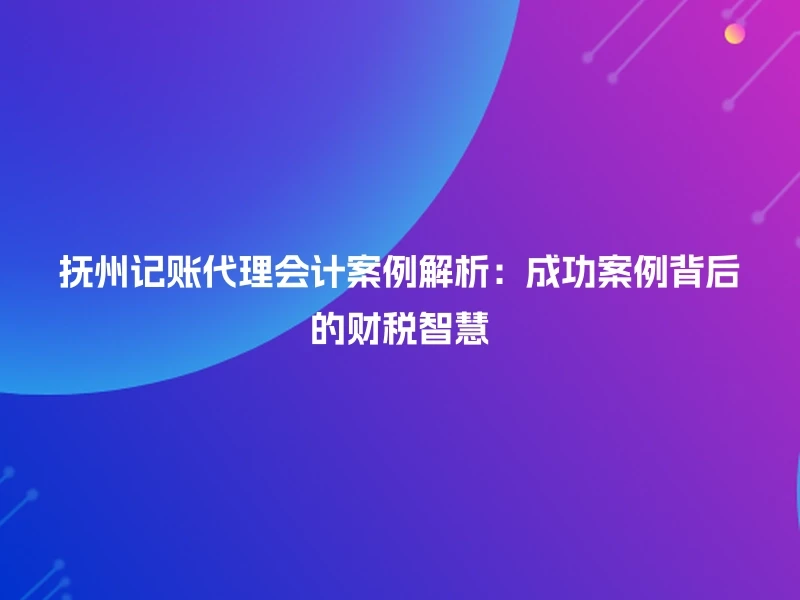 抚州记账代理会计案例解析：成功案例背后的财税智慧
