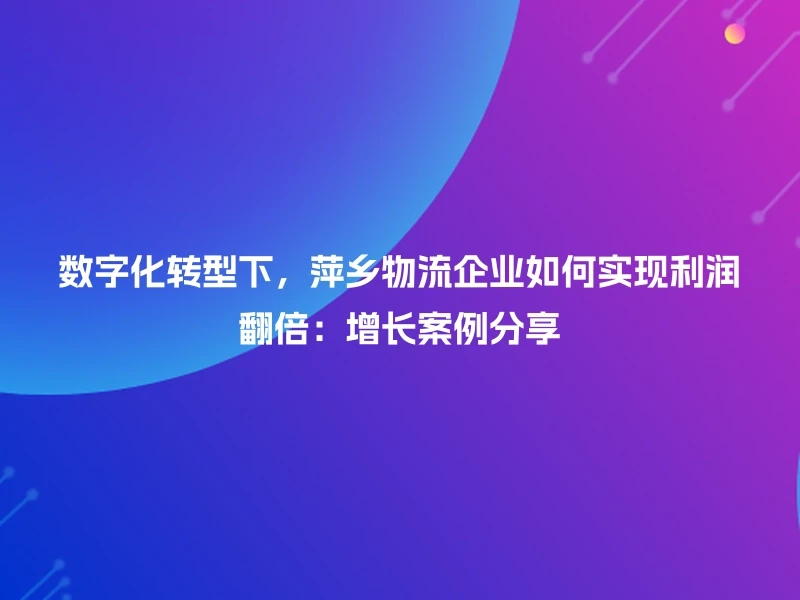 数字化转型下，萍乡物流企业如何实现利润翻倍：增长案例分享