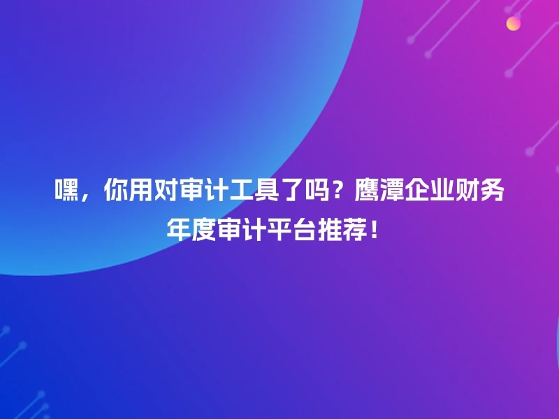 嘿，你用对审计工具了吗？鹰潭企业财务年度审计平台推荐！