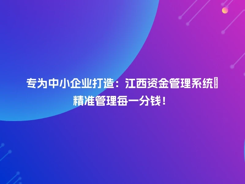 专为中小企业打造:江西资金管理系统🔍精准管理每一分钱!