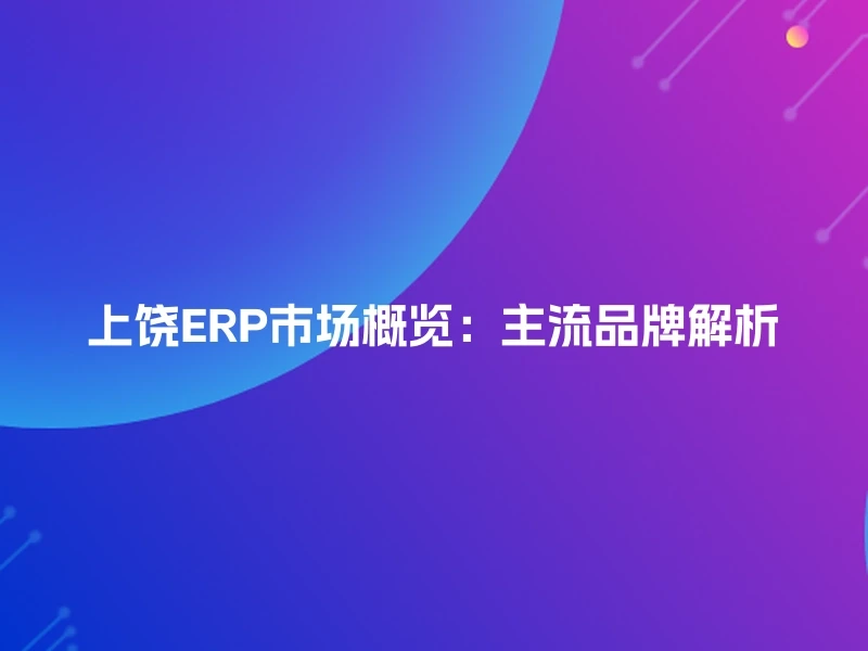 上饶ERP市场概览：主流品牌解析