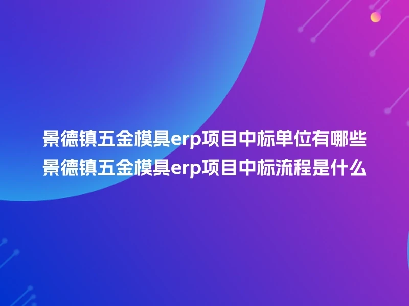 景德镇五金模具erp项目中标单位有哪些景德镇五金模具erp项目中标流程是什么