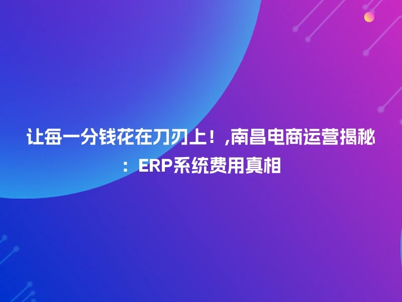 让每一分钱花在刀刃上!,南昌电商运营揭秘:ERP系统费用真相